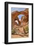 Double Arch, Windows Section, Arches National Park, Utah, United States of America, North America-Gary Cook-Framed Photographic Print