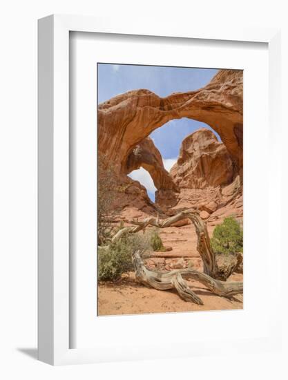 Double Arch, Windows Section, Arches National Park, Utah, United States of America, North America-Gary Cook-Framed Photographic Print