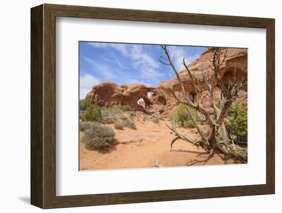 Double Arch, Windows Section, Arches National Park, Utah, United States of America, North America-Gary Cook-Framed Photographic Print