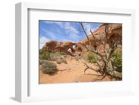 Double Arch, Windows Section, Arches National Park, Utah, United States of America, North America-Gary Cook-Framed Photographic Print