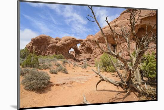 Double Arch, Windows Section, Arches National Park, Utah, United States of America, North America-Gary Cook-Mounted Photographic Print