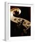 Double bass headstock-Yang Liu-Framed Photographic Print