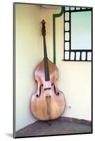 Double Bass in Restaurant, Vinales, Pinar Del Rio Province, Cuba, West Indies, Central America-Lee Frost-Mounted Photographic Print