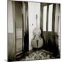 Double Bass Resting Against Wall Inside Palacio De Valle, Cienfuegos, Cuba-Lee Frost-Mounted Photographic Print