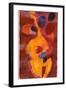 Double Bass, Triple Head-Gil Mayers-Framed Giclee Print