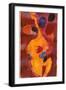 Double Bass, Triple Head-Gil Mayers-Framed Giclee Print