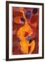 Double Bass, Triple Head-Gil Mayers-Framed Giclee Print