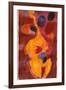 Double Bass, Triple Head-Gil Mayers-Framed Giclee Print