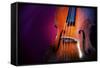 Double Bass-lachris77-Framed Stretched Canvas