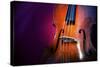 Double Bass-lachris77-Stretched Canvas