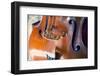 Double Bass-lachris77-Framed Photographic Print