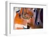 Double Bass-lachris77-Framed Photographic Print