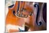 Double Bass-lachris77-Mounted Photographic Print