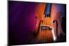 Double Bass-lachris77-Mounted Photographic Print