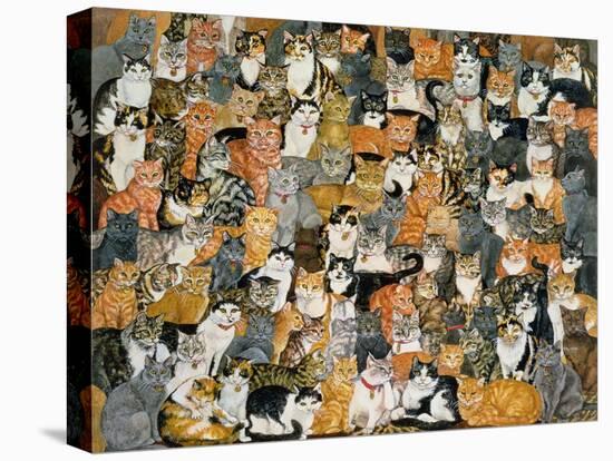 Double Cat-Spread-Ditz-Stretched Canvas