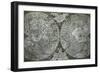 Double Cordiform World Map by Antonio Salamanca, Copperplateed in Roma, 1550-null-Framed Giclee Print