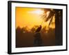 Double Crested Cormorant on Cabbage Palm, Viera Wetlands, Florida-Maresa Pryor-Framed Photographic Print