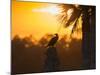 Double Crested Cormorant on Cabbage Palm, Viera Wetlands, Florida-Maresa Pryor-Mounted Photographic Print