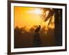 Double Crested Cormorant on Cabbage Palm, Viera Wetlands, Florida-Maresa Pryor-Framed Photographic Print