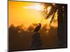 Double Crested Cormorant on Cabbage Palm, Viera Wetlands, Florida-Maresa Pryor-Mounted Photographic Print