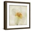 Double Daffodil I-Judy Stalus-Framed Art Print