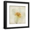 Double Daffodil I-Judy Stalus-Framed Art Print