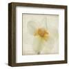 Double Daffodil I-Judy Stalus-Framed Art Print