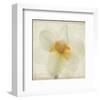 Double Daffodil I-Judy Stalus-Framed Art Print