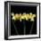 Double daffodils II-Magda Indigo-Framed Photographic Print