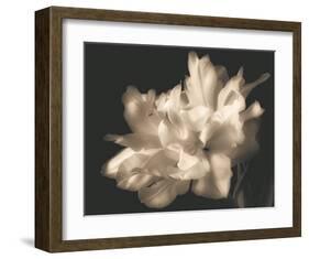 Double Dappled I-Charles Britt-Framed Art Print