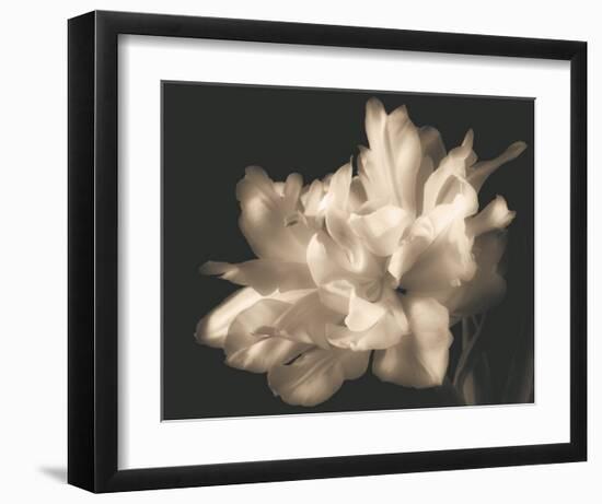 Double Dappled I-Charles Britt-Framed Art Print