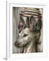 Double Dog-Jason Limon-Framed Giclee Print