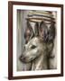 Double Dog-Jason Limon-Framed Giclee Print