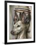 Double Dog-Jason Limon-Framed Giclee Print