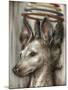 Double Dog-Jason Limon-Mounted Giclee Print