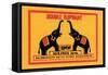 Double Elephant-null-Framed Stretched Canvas