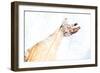 Double Exposure Arm and Hand-Sharpy Shooter-Framed Photographic Print