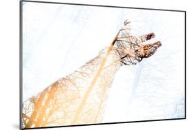 Double Exposure Arm and Hand-Sharpy Shooter-Mounted Photographic Print