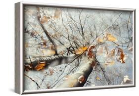 Double exposure, beech, falling leaves and blue heaven in the Teutoburg Forest-Nadja Jacke-Framed Photographic Print