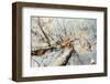 Double exposure, beech, falling leaves and blue heaven in the Teutoburg Forest-Nadja Jacke-Framed Photographic Print