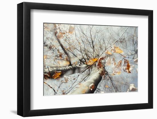 Double exposure, beech, falling leaves and blue heaven in the Teutoburg Forest-Nadja Jacke-Framed Photographic Print