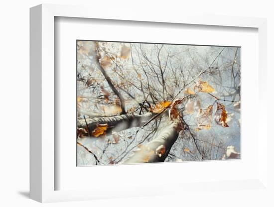 Double exposure, beech, falling leaves and blue heaven in the Teutoburg Forest-Nadja Jacke-Framed Photographic Print