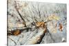 Double exposure, beech, falling leaves and blue heaven in the Teutoburg Forest-Nadja Jacke-Stretched Canvas