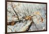 Double exposure, beech, falling leaves and blue heaven in the Teutoburg Forest-Nadja Jacke-Framed Photographic Print