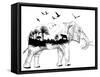 Double Exposure - Elephant-Mirifada-Framed Stretched Canvas