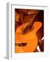 Double Exposure of Guitar and Rocks-Janell Davidson-Framed Photographic Print