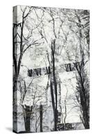 Double exposure of Teutoburg Forest and and the Hünenkapelle on the Tönsberg in Oerlinghausen.-Nadja Jacke-Stretched Canvas