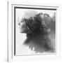 Double Exposure of Young Female and the Forest near the Lake(Tilt-Shift Lens)-Kuzma-Framed Premium Photographic Print