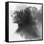 Double Exposure of Young Female and the Forest near the Lake(Tilt-Shift Lens)-Kuzma-Framed Stretched Canvas