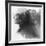 Double Exposure of Young Female and the Forest near the Lake(Tilt-Shift Lens)-Kuzma-Framed Photographic Print